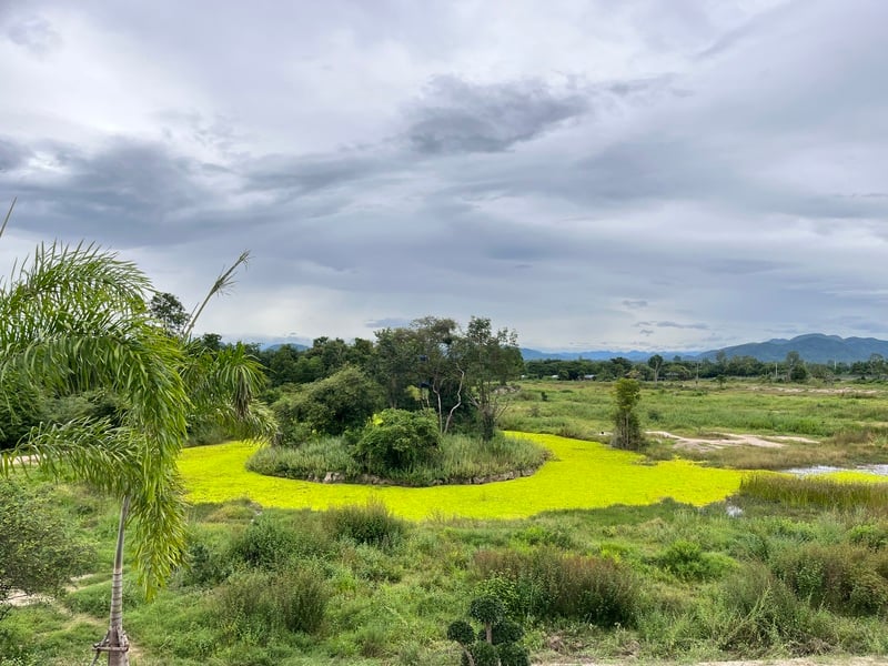 Wildlife Nature Retreat