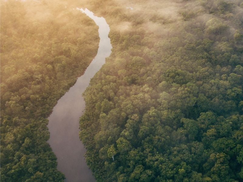 Revealed The Jewel of West Timor