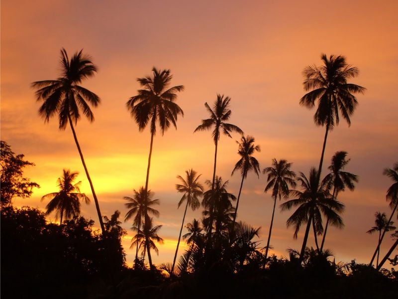 Revealed The Jewel of West Timor