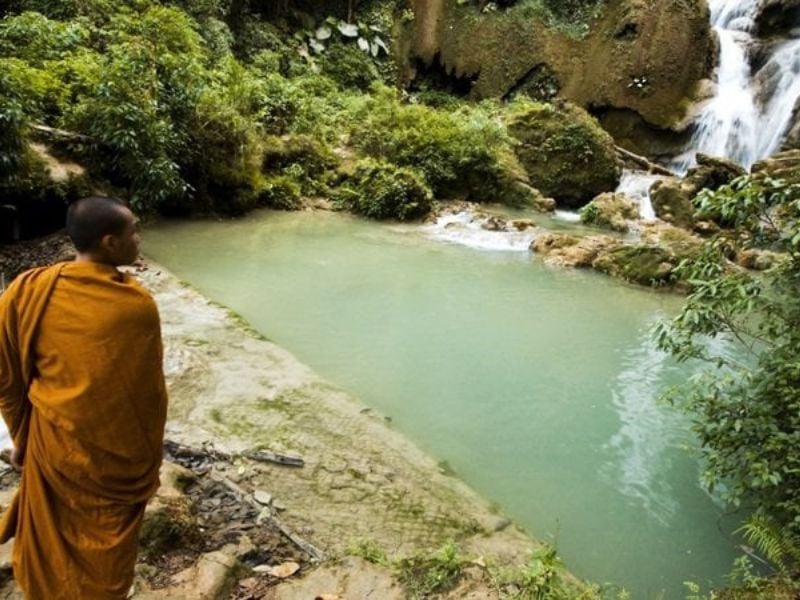 Shompoo Cruise Downstream