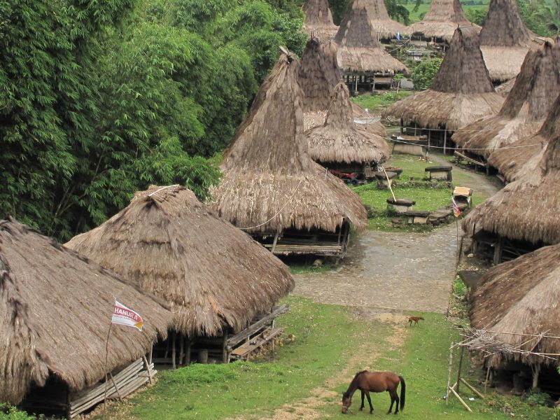 West Sumba Undiscovered