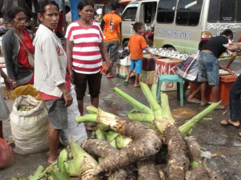West Sumba Undiscovered
