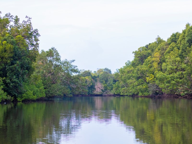 Utan Rainforest Wildlife Safari