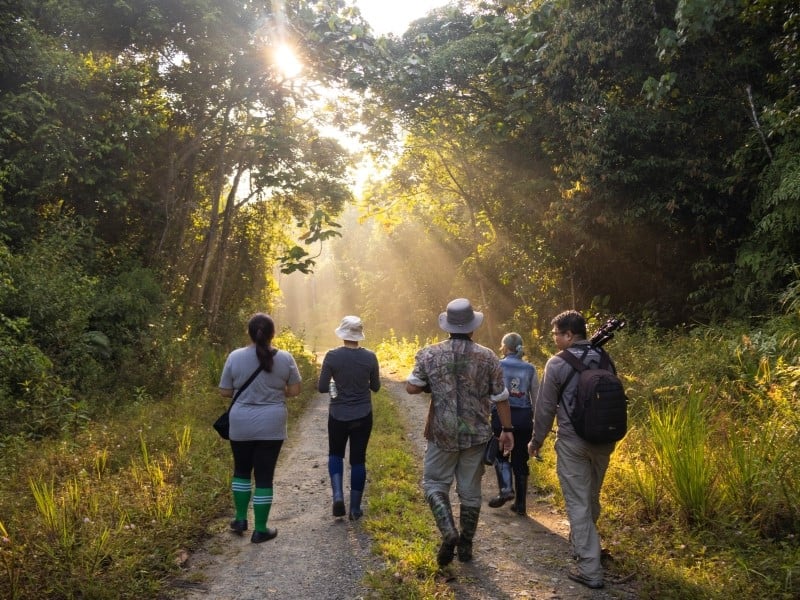 Utan Rainforest Wildlife Safari