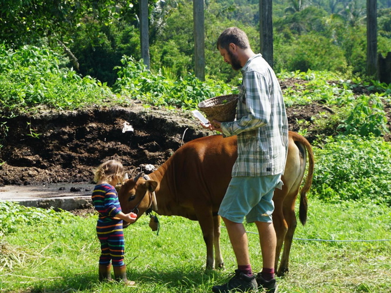  Family Journey of Discovery: Unveiling Local Bali