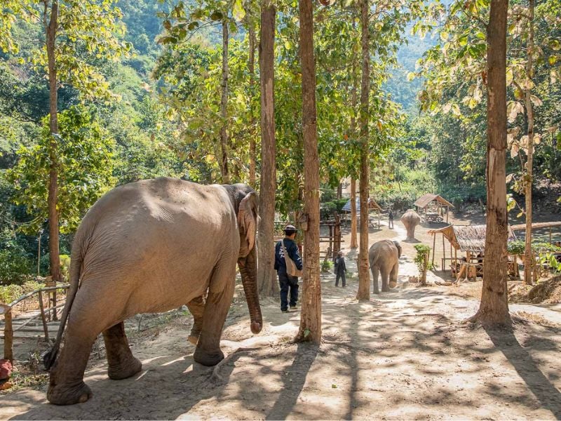 Nature & Culture for Teens