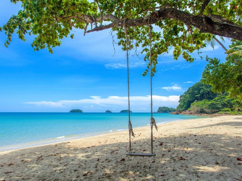 Nature & Culture for Teens