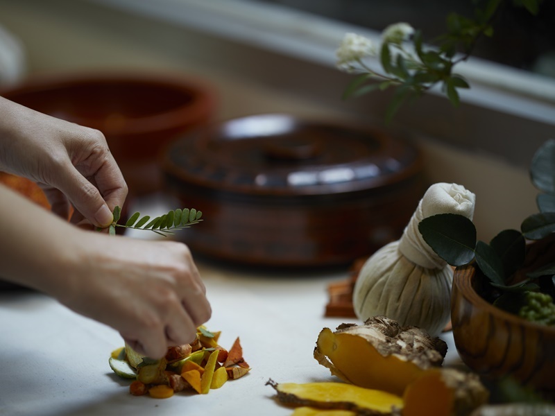 Balance & Wellness Retreat