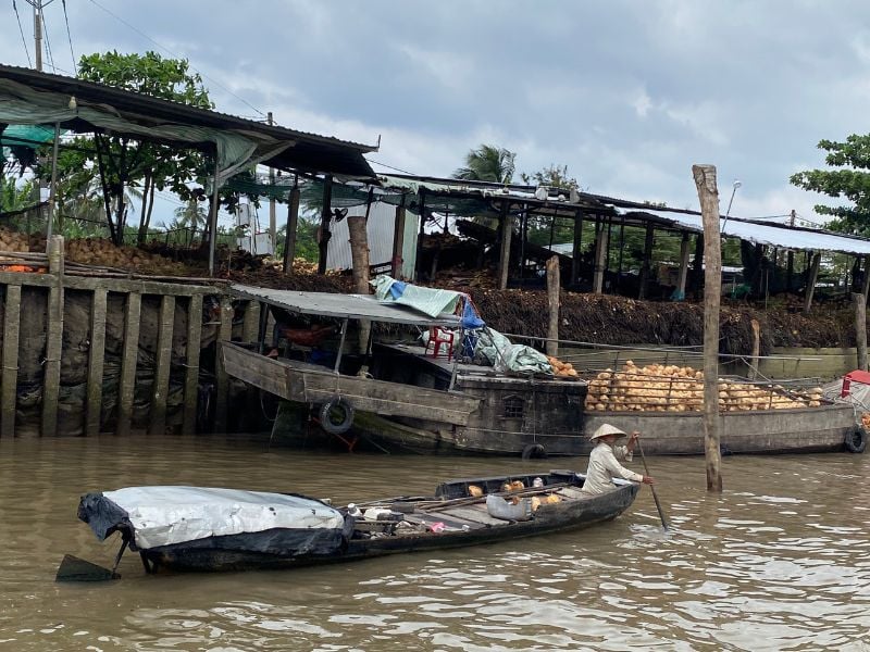 Community Immersion in The Mekong Delta