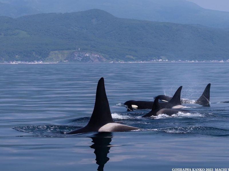 Hokkaido’s National Parks by Car (Self-driving)