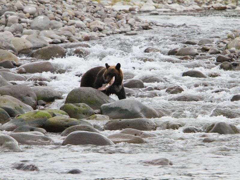 Hokkaido’s National Parks by Car (Self-driving)