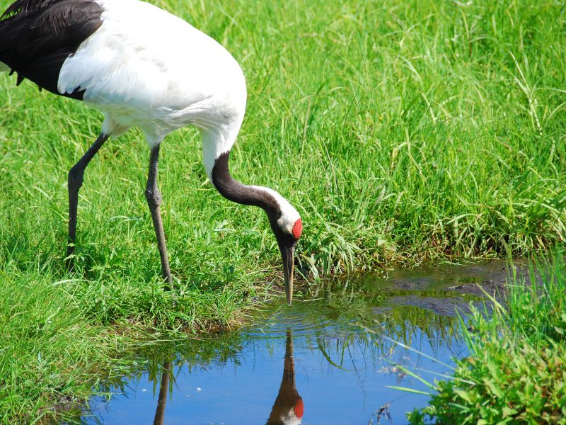 Hokkaido’s National Parks by Car (Self-driving)