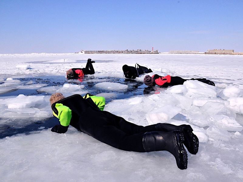 Limited Season Hokkaido Winter Wildlife Tour