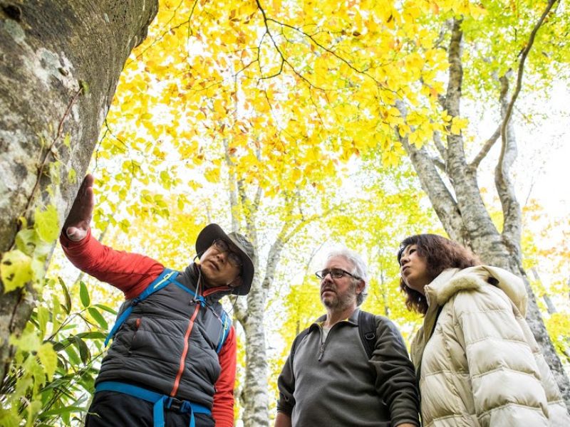 Rural Retreat in Hokkaido’s Countryside