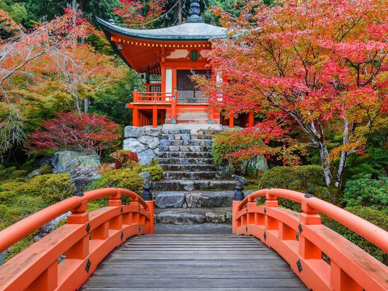 Wellness Journey in Japan