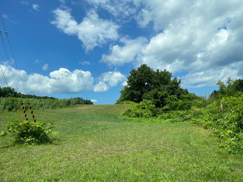 Yoichi: Wine, Whisky, and Fine Dining