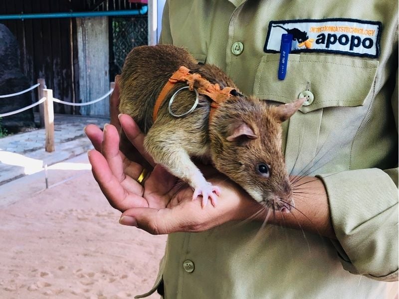 Cambodia, a Family Friendly Destination
