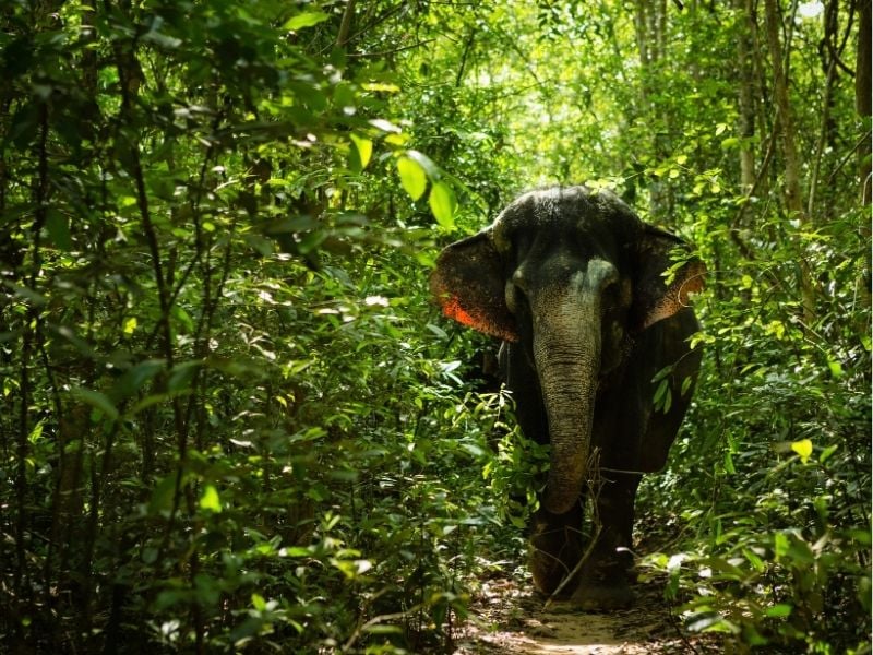 Cambodia, a Family Friendly Destination