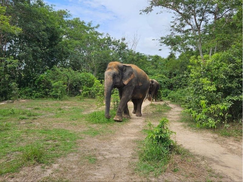 Family Fun in Cambodia