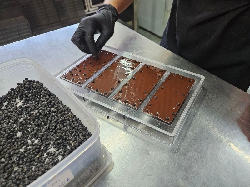 Family Fun in Cambodia