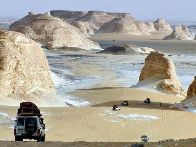 Fayoum and White Desert Escape