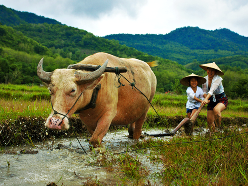 Luang Prabang Made for Families