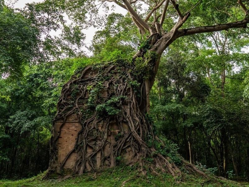 Cambodia at a Glance