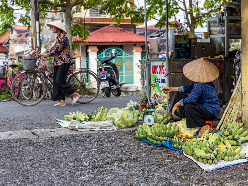 Undiscovered Nam Dinh, Karsts of Ninh Binh & Halong Bay