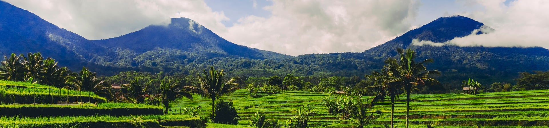 Bali & Lombok On The Green