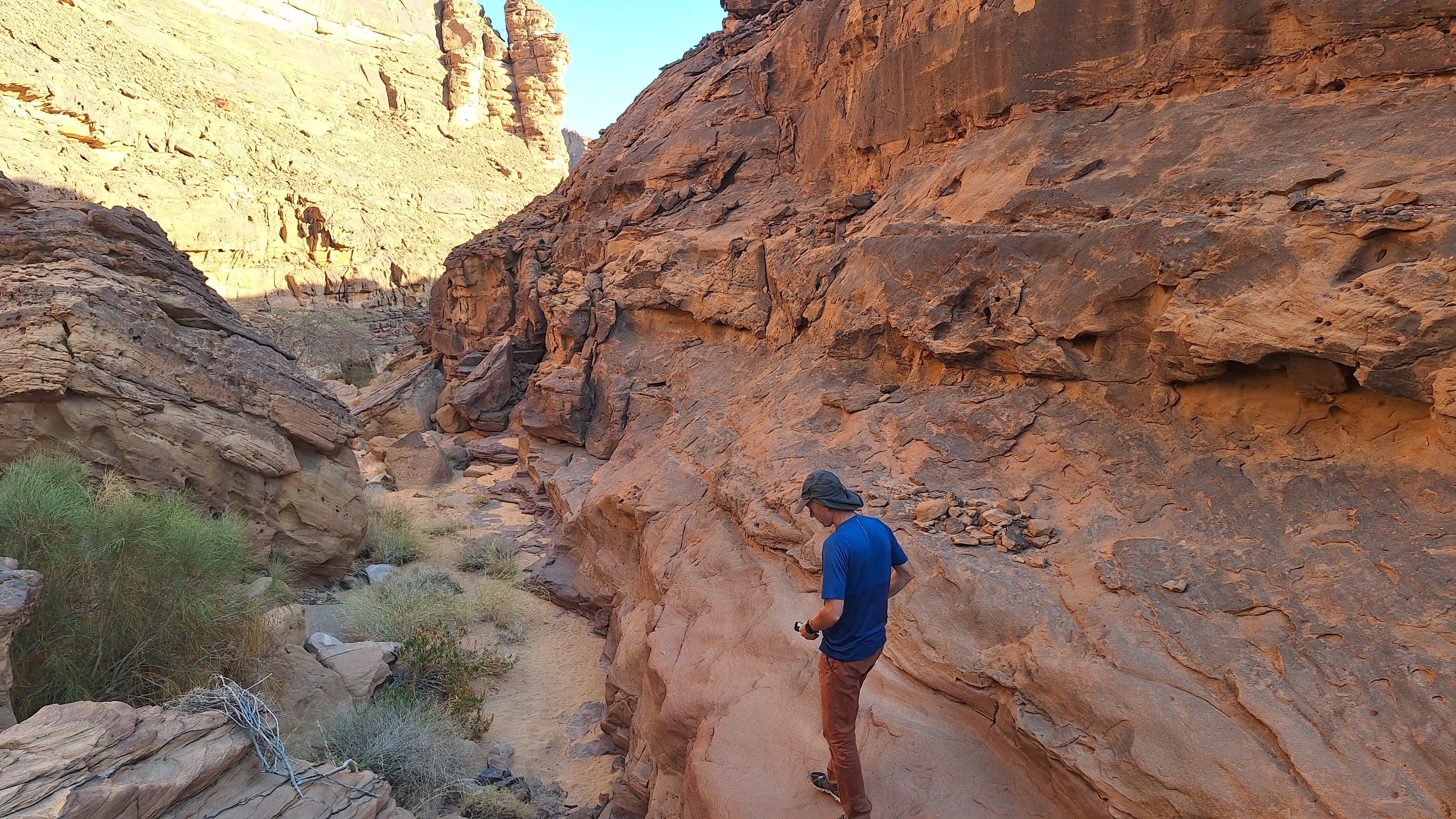 Tayma to Sharaan Trek