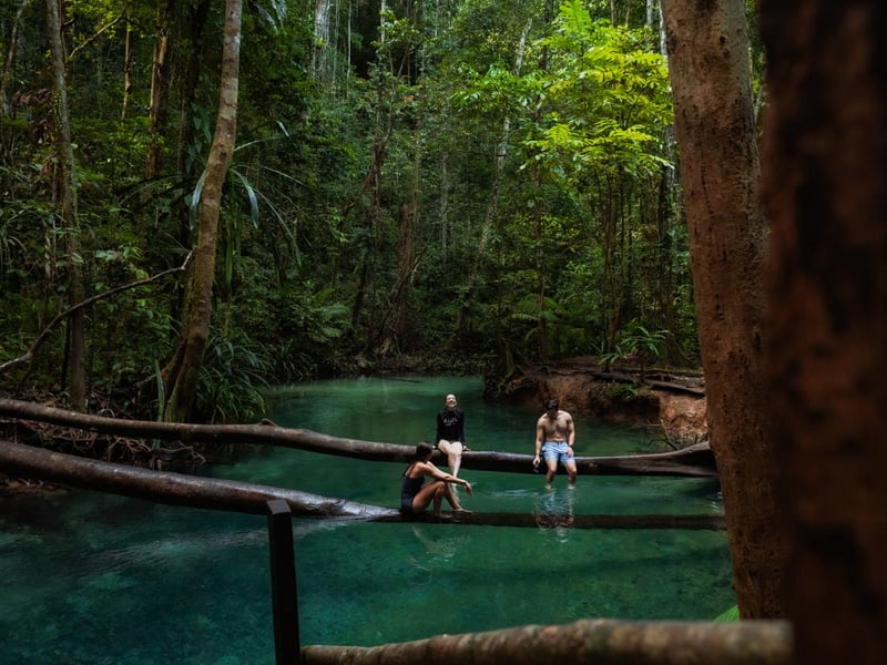 Raja Ampat Unveiled: An Extraordinary Journey Through Paradise
