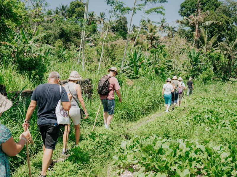 Bali Eco Harmony