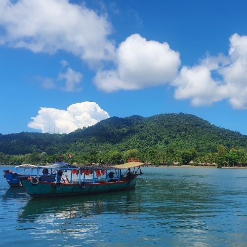 A Blend of the South