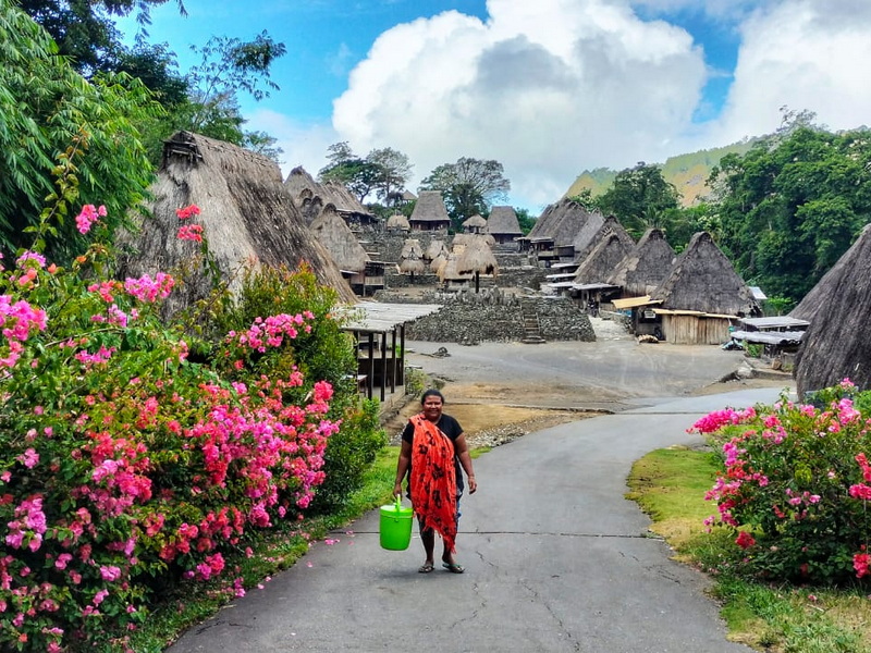 Spectacular Flores And Komodo