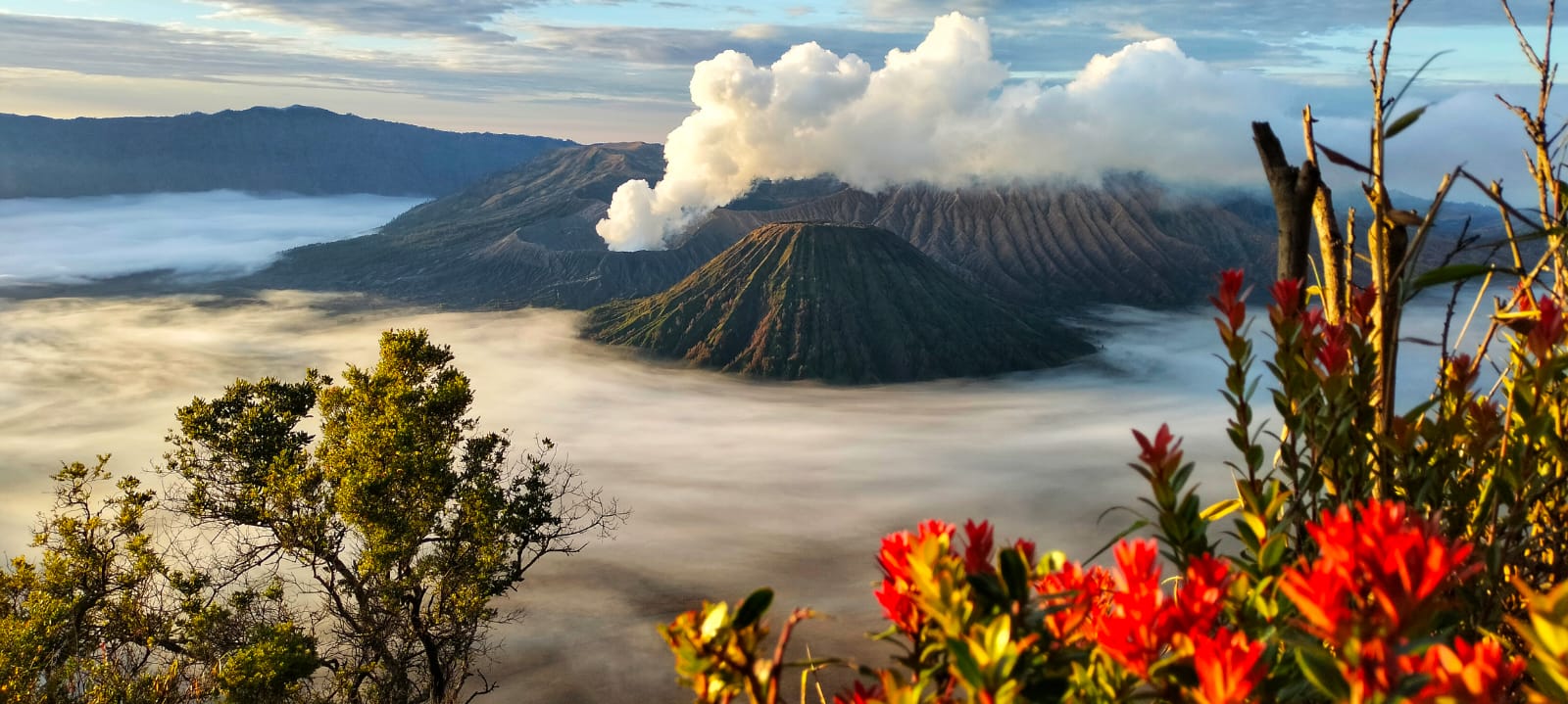 Java Bali Overland In Style