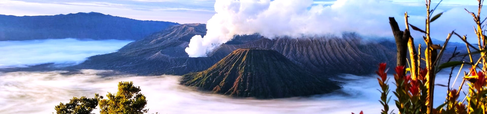 Image of Overland From Central Java to Bali