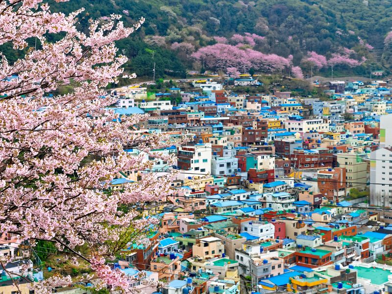 Busan and Gyeongju Discovery