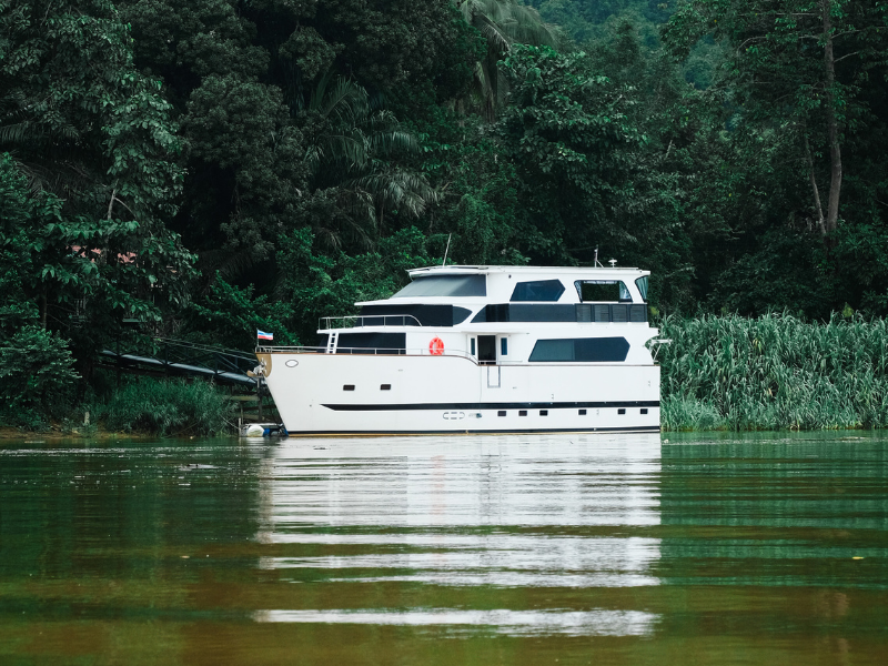 Wild Sabah: From Rainforest to River