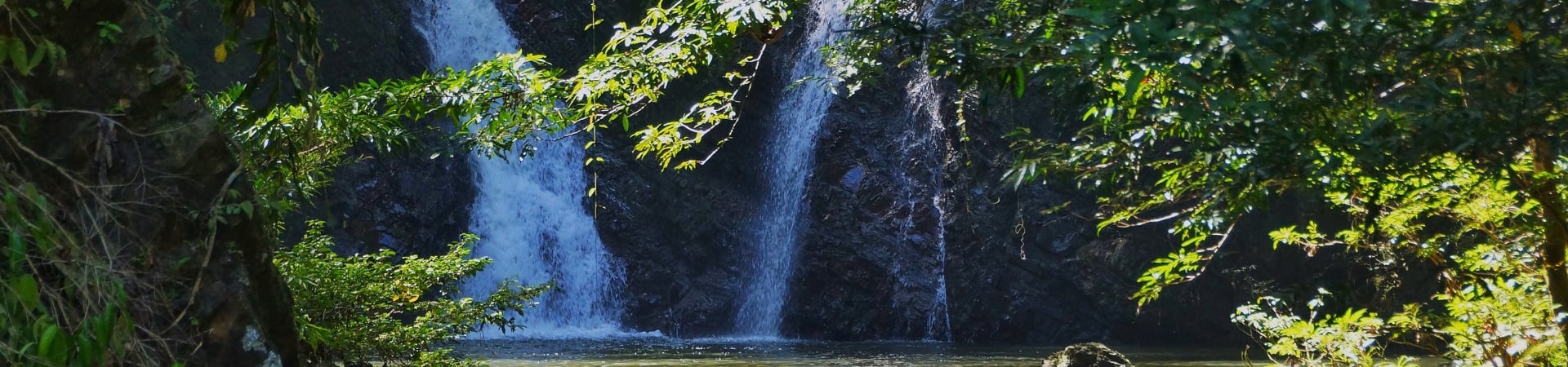 Image of Tabin Wildlife Safari