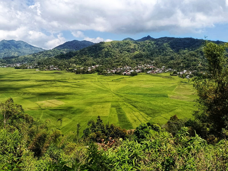 Spectacular Flores And Komodo