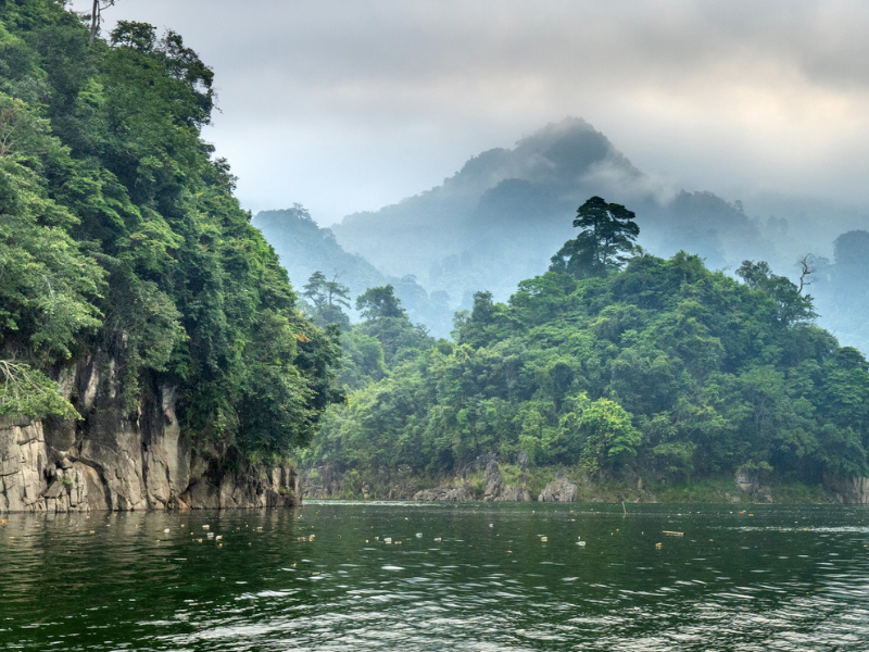 Trek Through Authentic Cultures: Hoang Su Phi