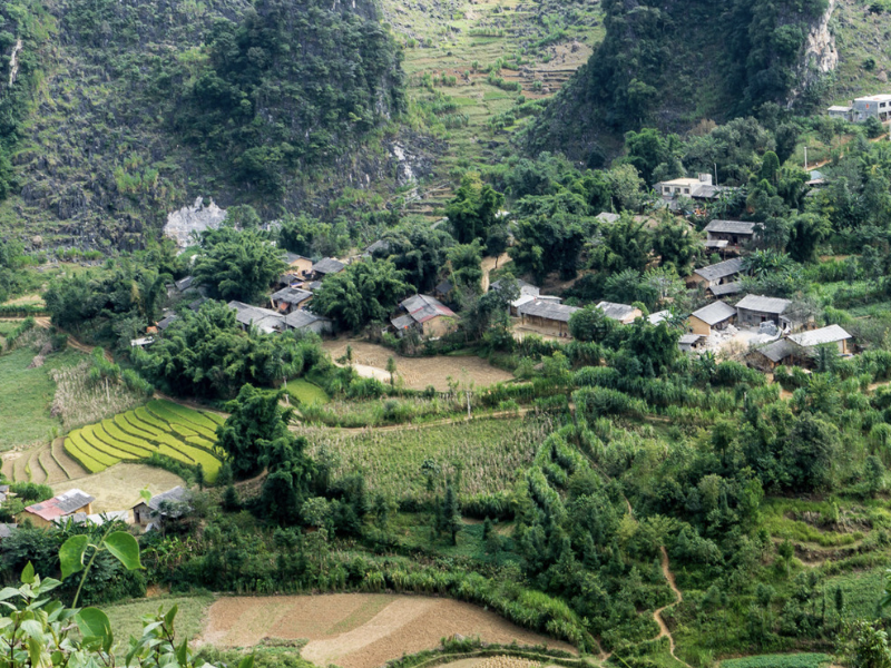 Trek Through Authentic Cultures: Hoang Su Phi