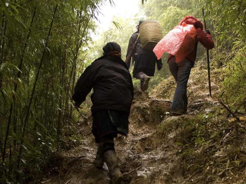 Trekking Vietnam’s Northwest Mountains In-Style