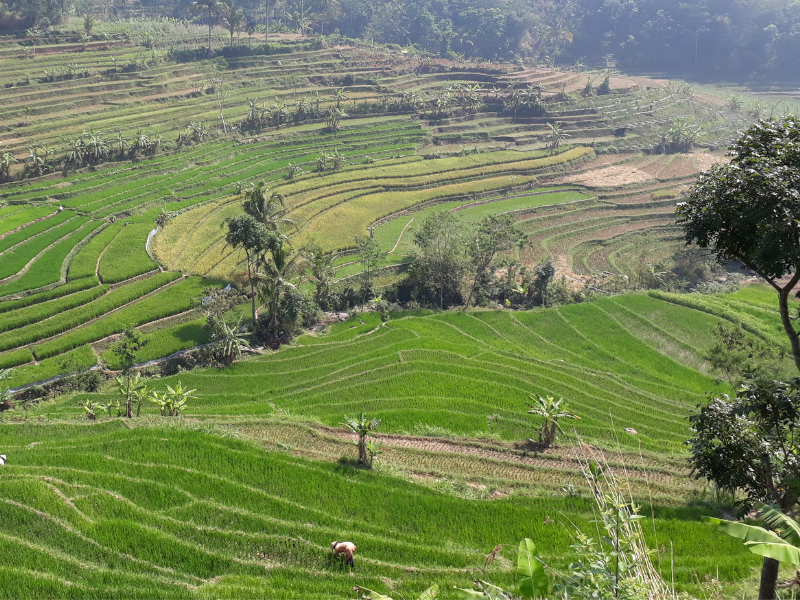 Central Java Historical Sites