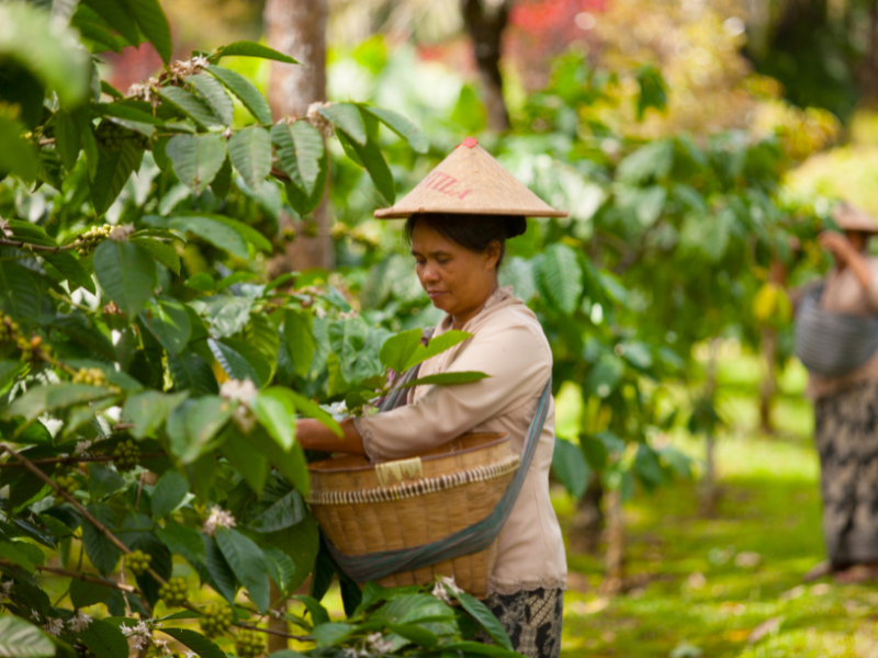 Central Java Historical Sites