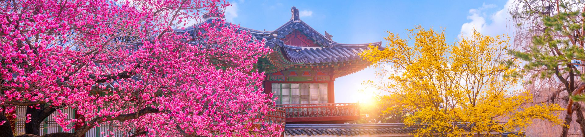 Image of Korea and Japan’s Capital Cities