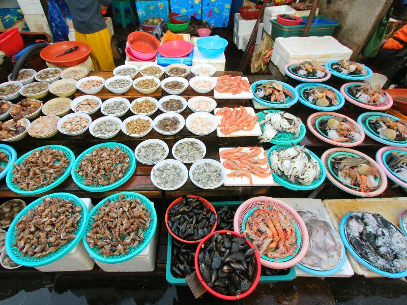 Flavours of the Rising Sun