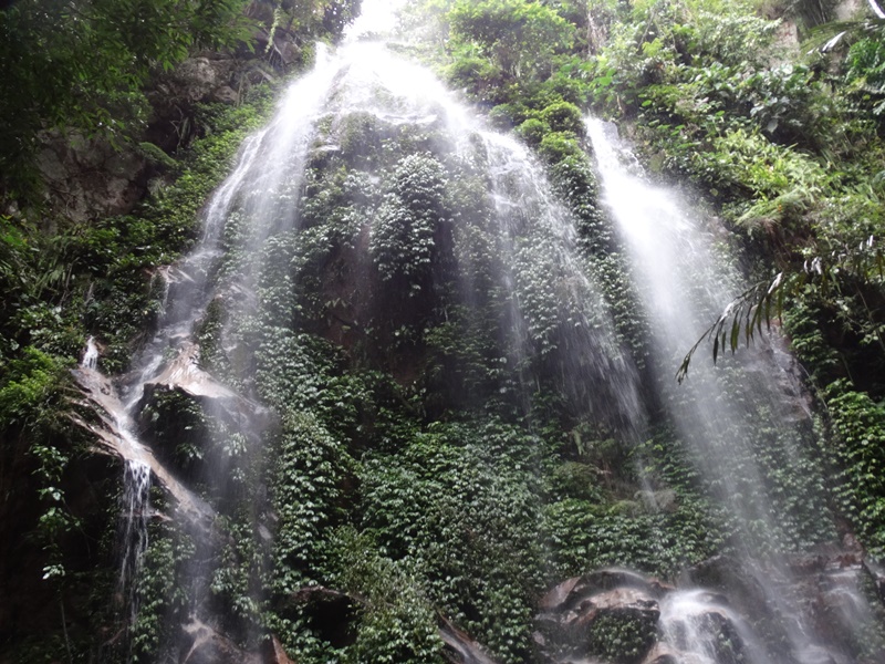 Nature Escape In West Malaysia