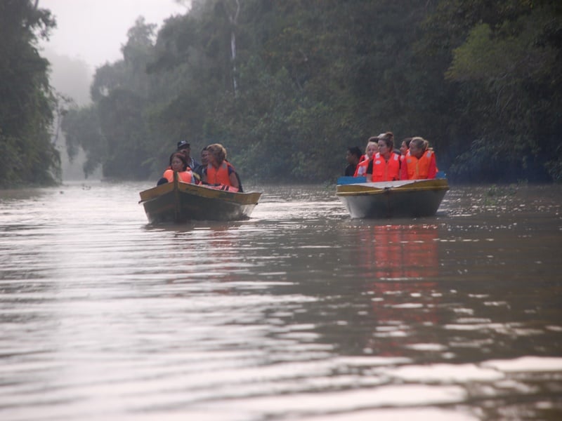 Insider Access - Village Homestay in Sukau