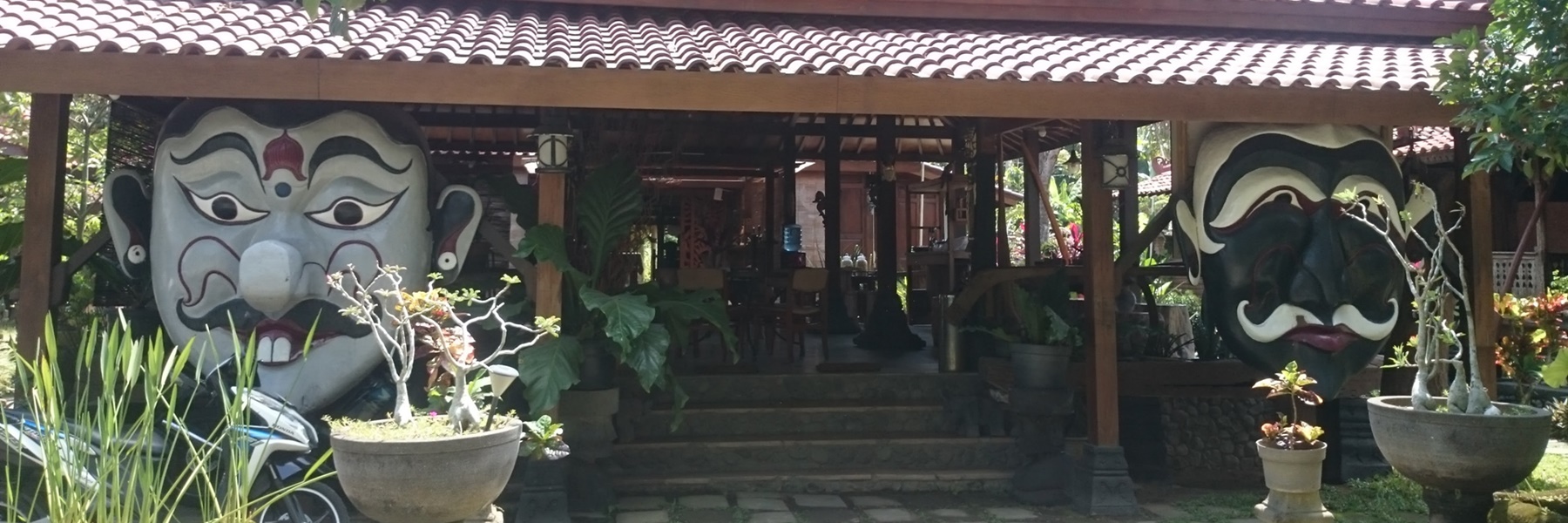 Experience at The Cicadas’ Residence